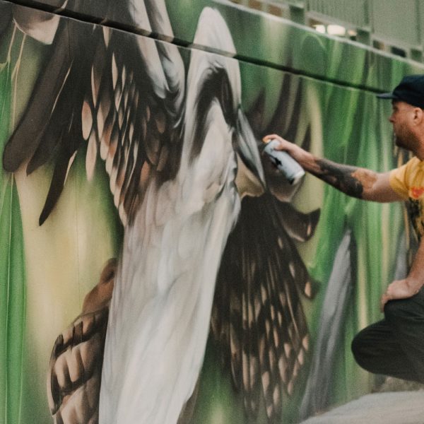 Mike Shankster, Jindabyne Skate park, street art mural, artist